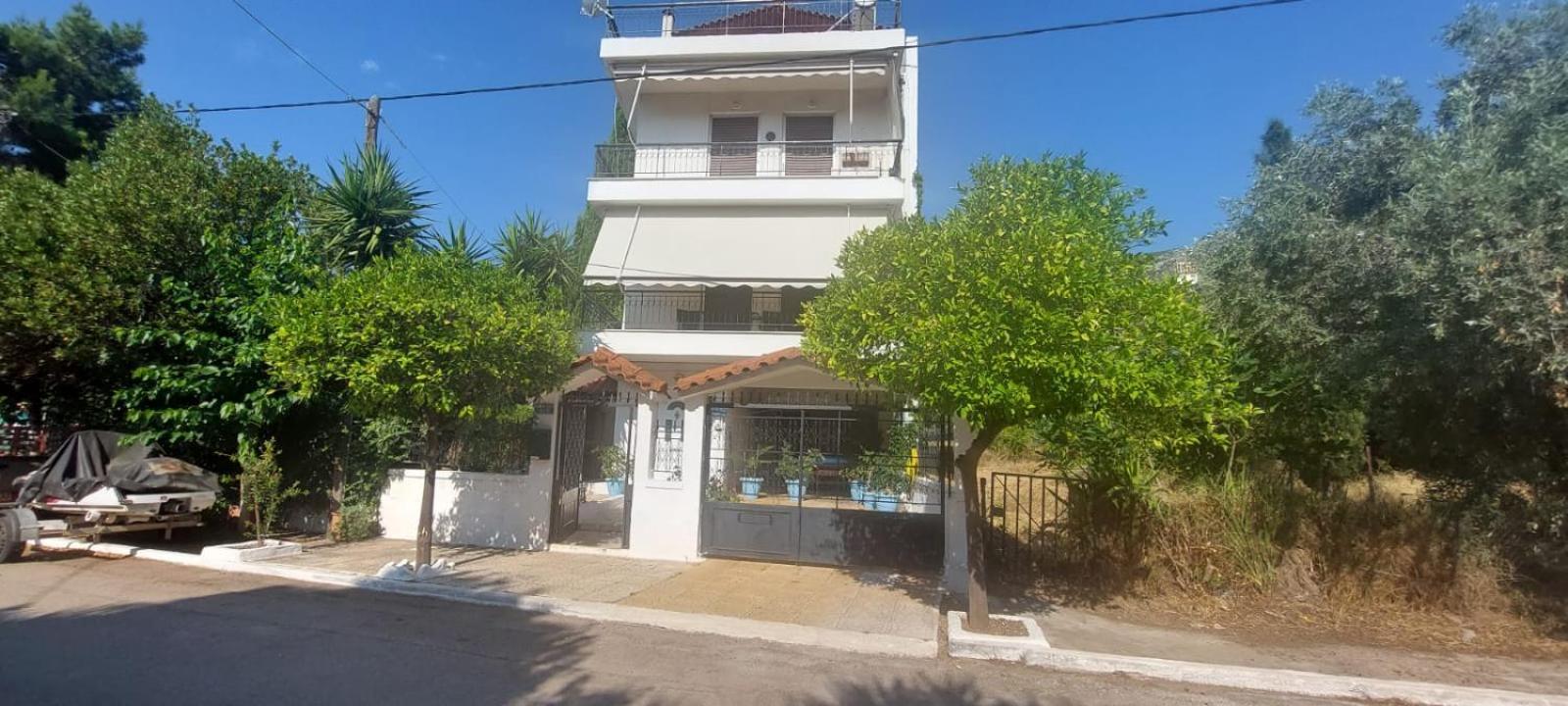 Queen Aspri Apartment 3' Min To The Beach! Cảng Cảng Antikyra Ngoại thất bức ảnh